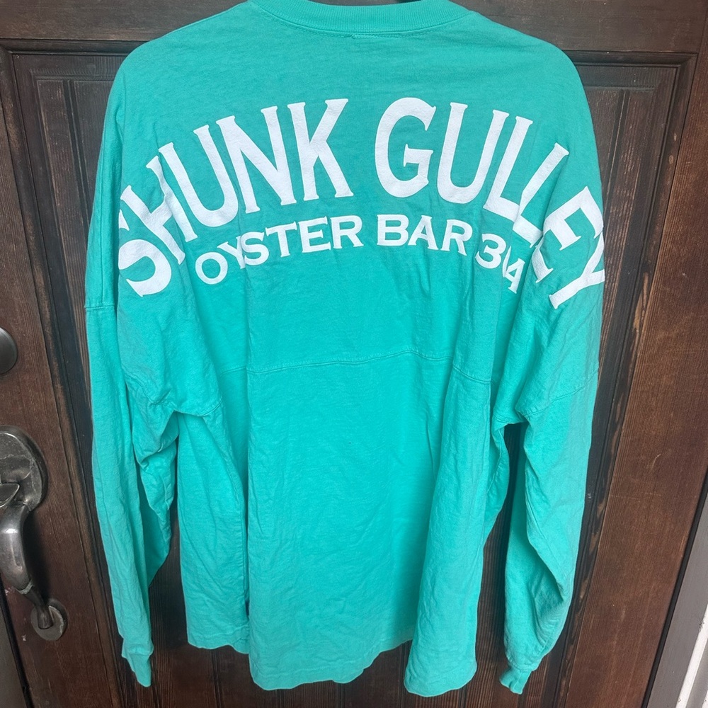 Shunk Gulley Spirit Jersey® 30A, size L, mint color
